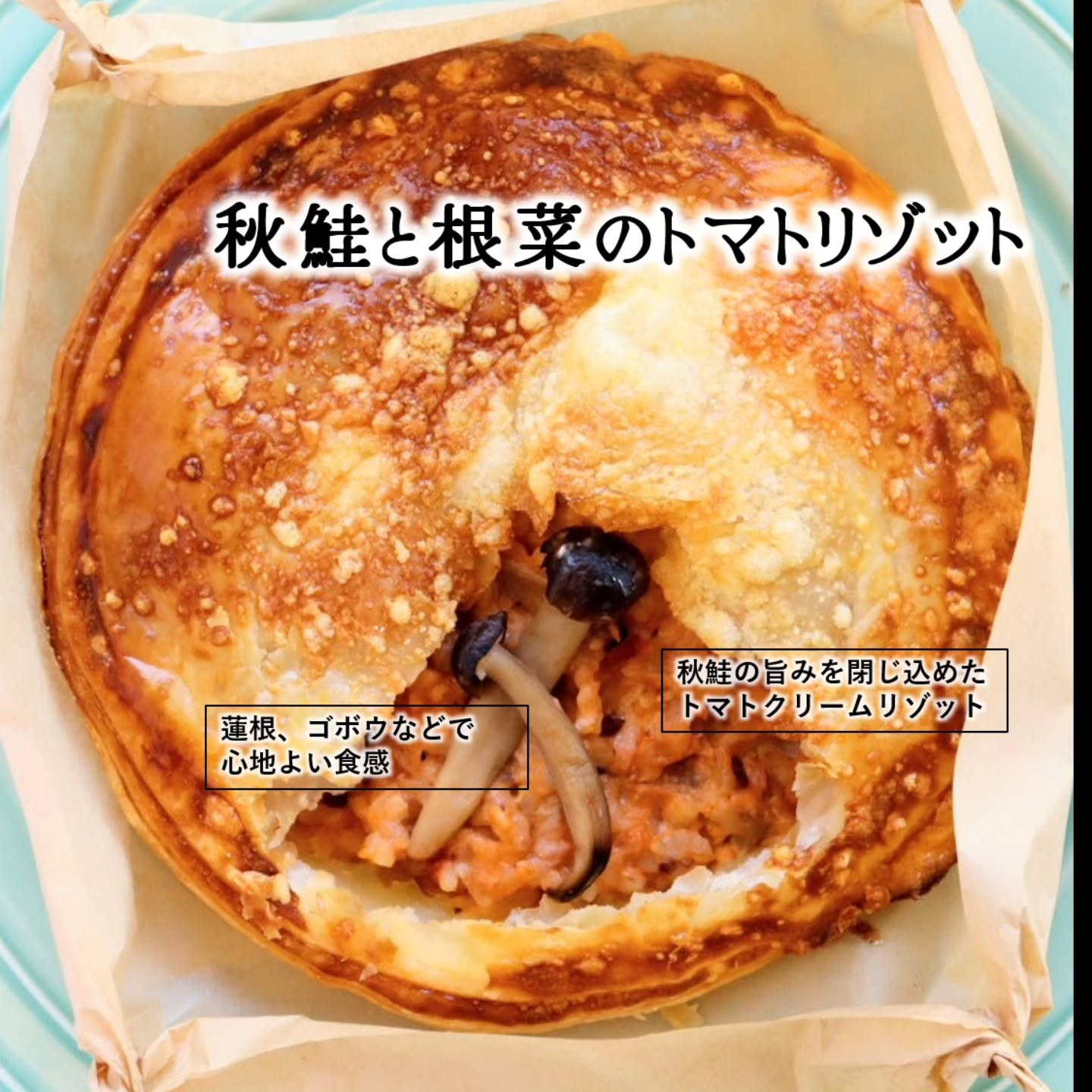 皆さん、こんにちは🍁